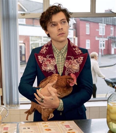 harry styles gucci tailoring campaign|Gucci perfume Harry Styles price.